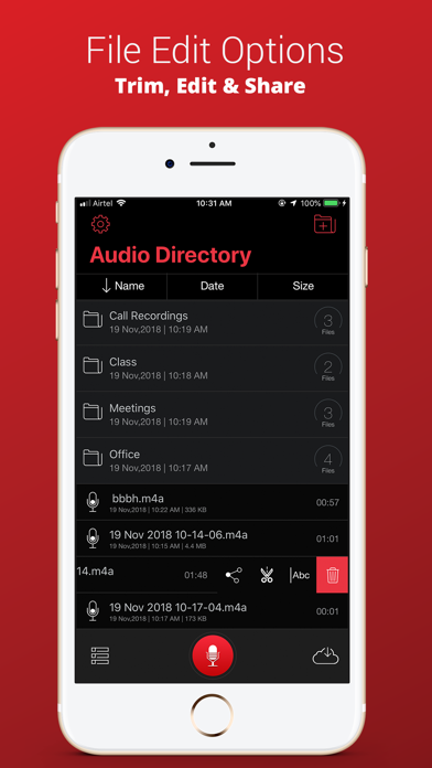 Screenshot #2 pour Recorder Plus : Voice Recorder