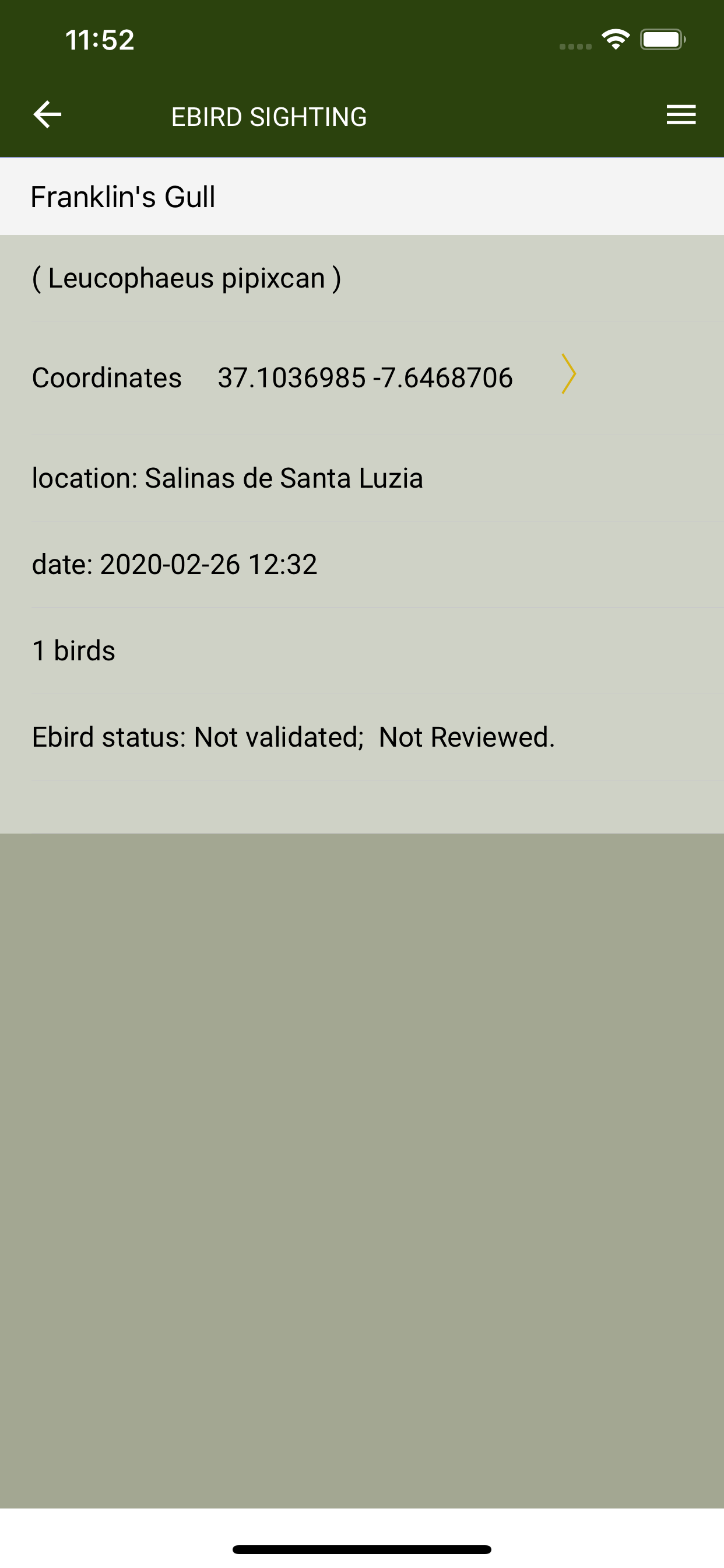 Birding in Southern Portugal