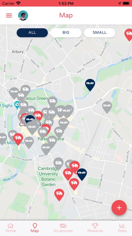 Cows About Cambridge 2021