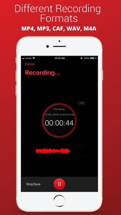 Recorder Plus : Voice Recorder Screenshot