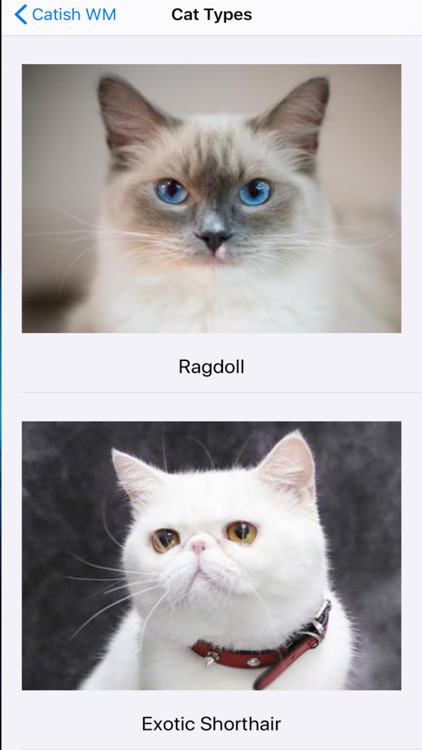 Catish WM screenshot-4