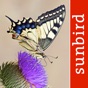 Butterfly Id - UK Field Guide app download