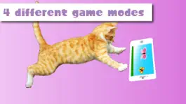 Game screenshot HappyCats games for Cats hack