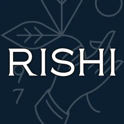 RISHI 시소 Читы