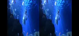 Game screenshot Aquarium Videos 3D apk