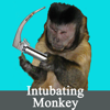 Intubating Monkey - Crystal Clear Solutions