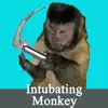 Intubating Monkey