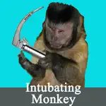 Intubating Monkey App Cancel