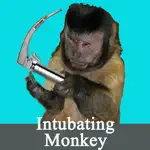 Intubating Monkey App Positive Reviews