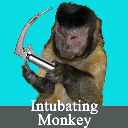 Intubating Monkey icon