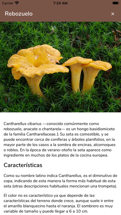 Screenshot #3 pour Seteros - Guía de Setas