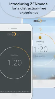 zenactivity iphone screenshot 1