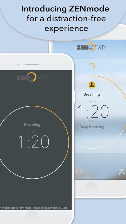 ZenActivity screenshot-0