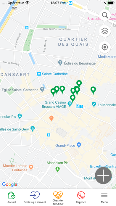 Screenshot #3 pour Reanim