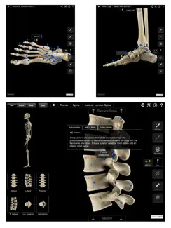 Skeleton System Pro III iPad image 4