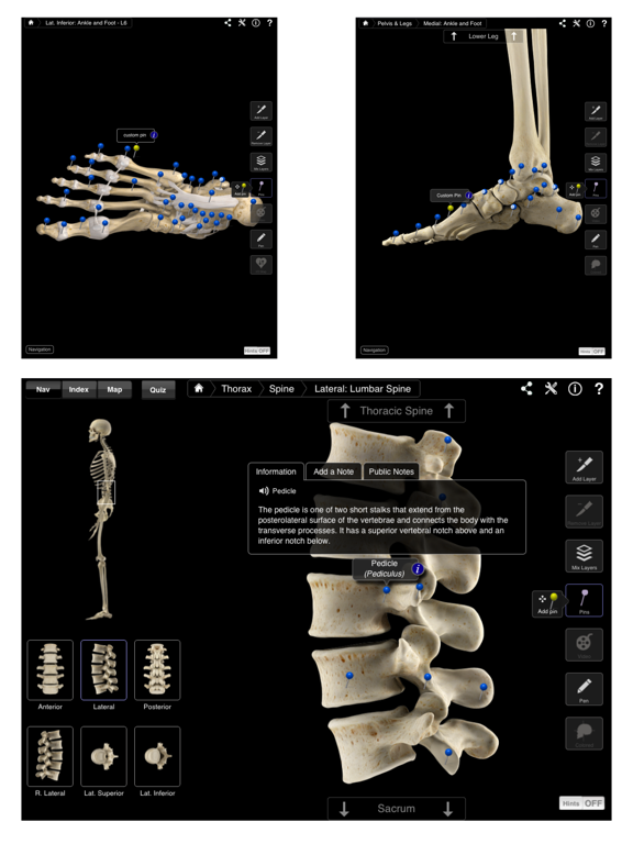 Skeleton System Pro IIIのおすすめ画像4