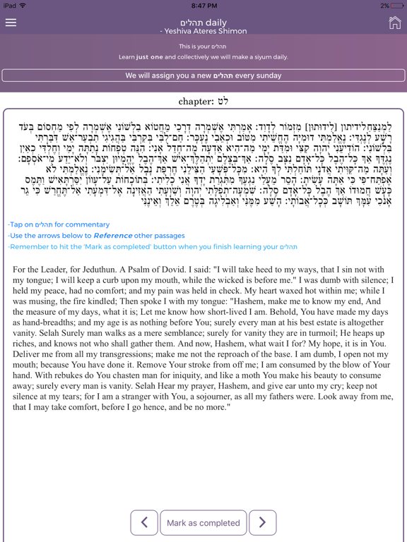 Screenshot #5 pour Siyum Daily
