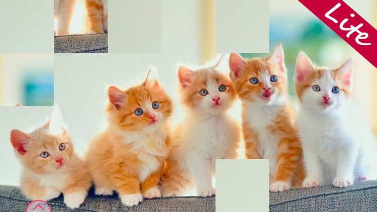 Kittens Lite - Easy Puzzle screenshot-7