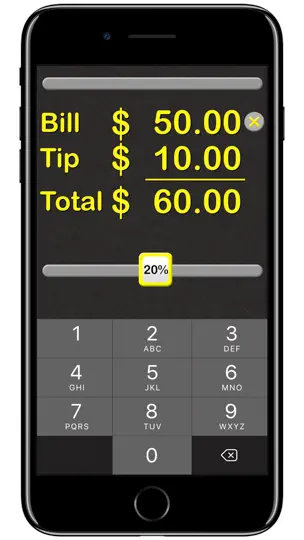 Tip Calculator‰ iPhone Screenshot 1