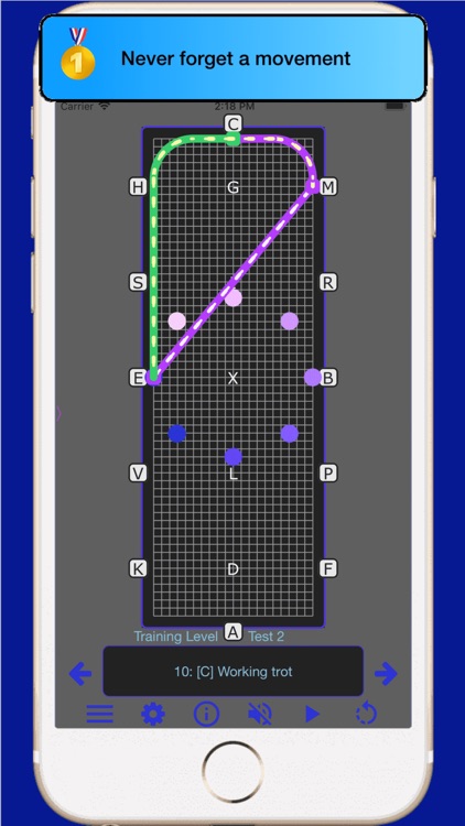 TestPro US Dressage Federation screenshot-8
