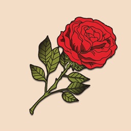 Rose Flowers Stickers & emoji
