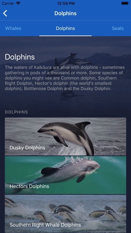 Whale Watch Kaikōura screenshot-3