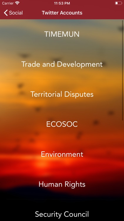 TIMEMUN 2020 screenshot-4