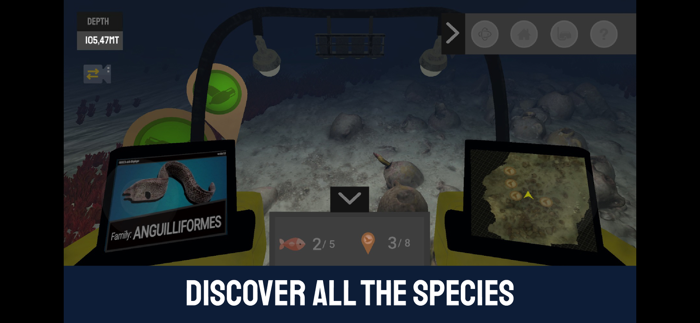 Dry Visit - Xlendi Shipwreck