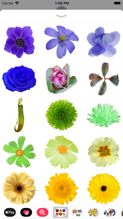Screenshot #2 pour 100+ Flower Stickers