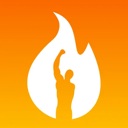 Bodyforge - Diet & Workout Cheats