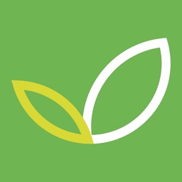 الاختيار الأخضر