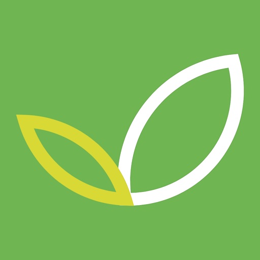 الاختيار الأخضر