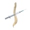 iSpinePainManagement is an information resource for spine pain management
