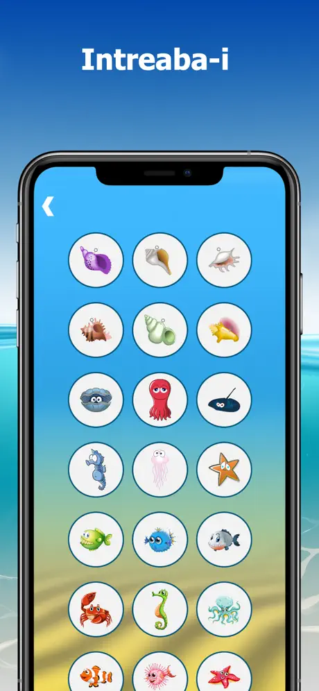 The Conch Shell: Magic answers