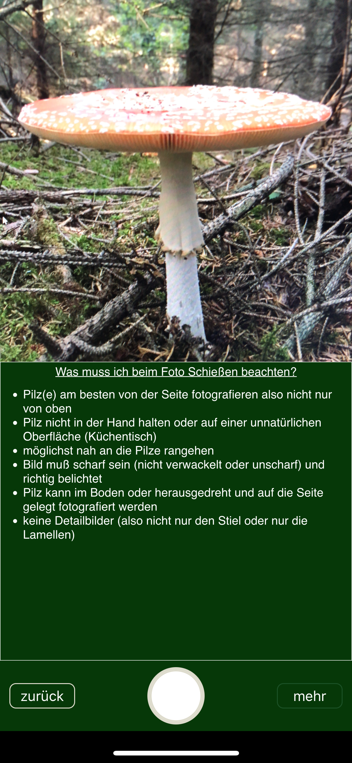 PilzSnap - Pilze sammeln!