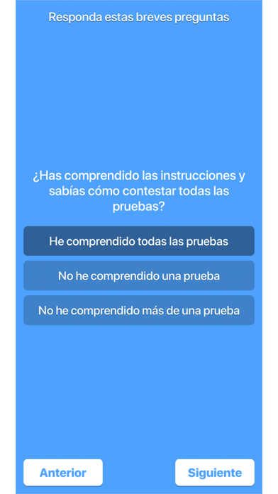 Guttmann Cognitest Screenshot