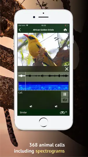 Screenshot von The Golden Safari Guide auf dem iPhone 7