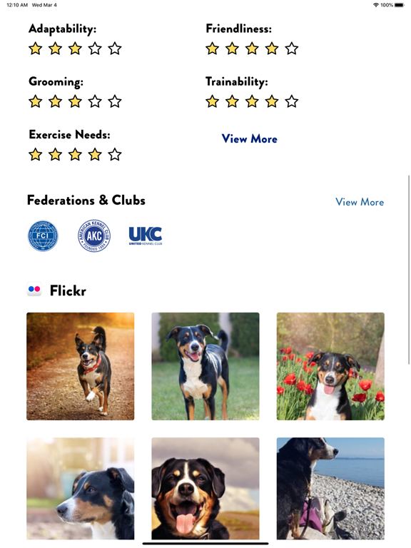 Dogs Pedia: Breed identifier iPad screenshot 4 - Education app