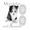 Icon Mandalas and Animals
