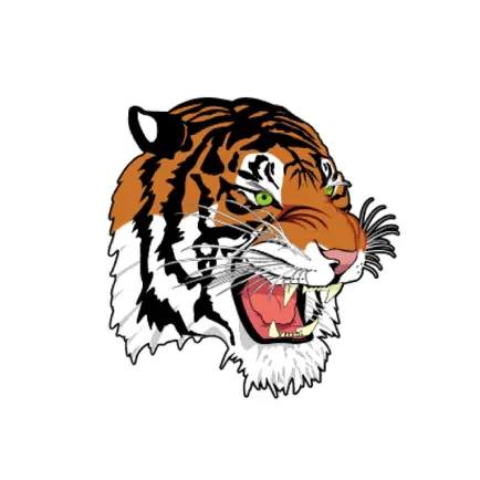 Lyndonville Central School Читы