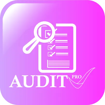 Audit Pro App Читы