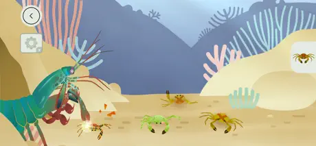 Korallrev från Tinybop