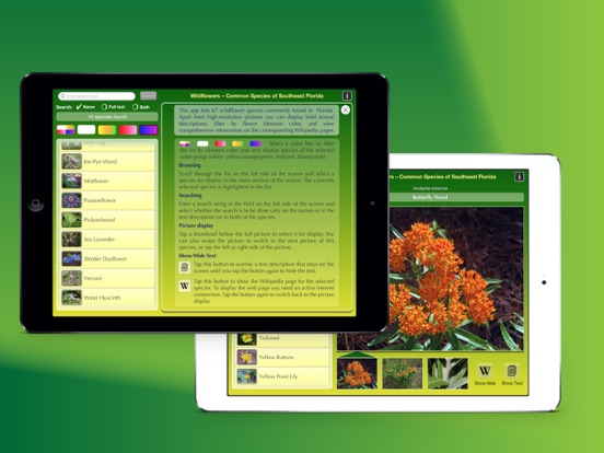 Screenshot #6 pour Southern Florida Wildflowers