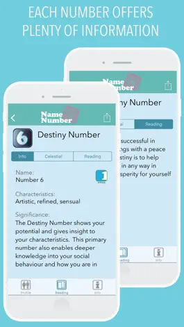 Game screenshot NameNumber numerology hack