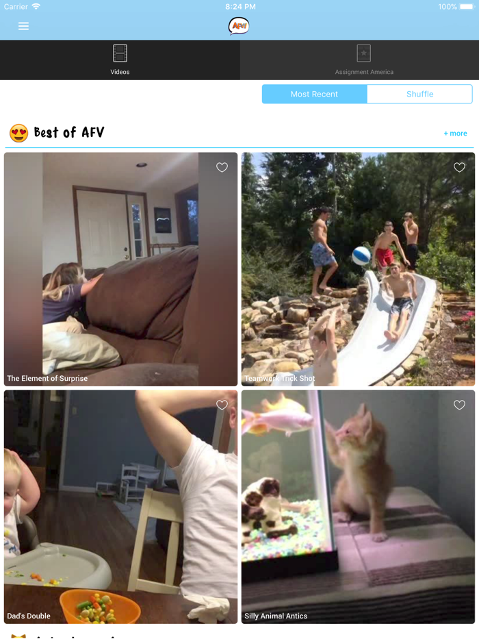 Americas Funniest Home Videos