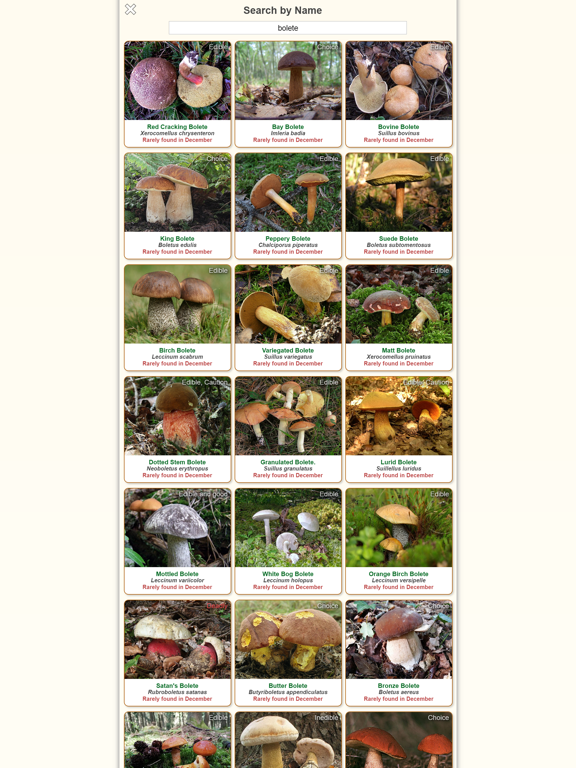 Shroomify - Mushroom ID USA iPad screenshot 5 - Education app
