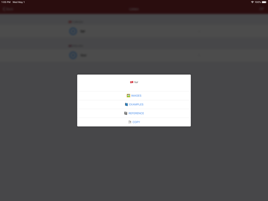 Turkish Dictionary - offline iPad screenshot 4 - Reference app