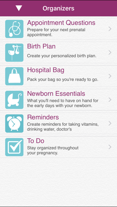 iPregnant Pregnancy Tracker Deluxe (iPeriod's Pregnancy Companion) Screenshot 3