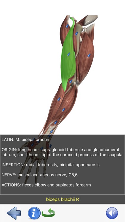 Visual Anatomy Lite screenshot-7