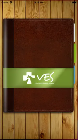 VES screenshot 1